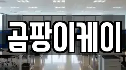 충남 공주시 중동 청소,입주청소,사무실청소,에어컨청소,특수청소,상가청소,거주청소,유품정리