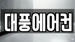 대풍에어컨