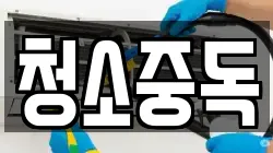 청소중독