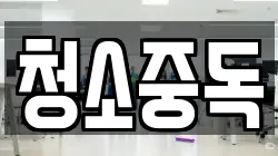 청소중독