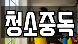 청소중독