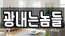 광내는놈들