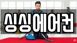 싱싱에어컨
