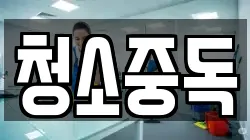 청소중독