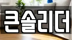 큰솔리더