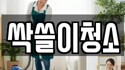 싹쓸이청소