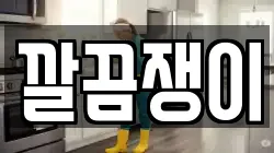 깔끔쟁이