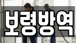 보령방역