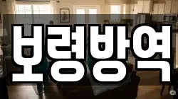 보령방역