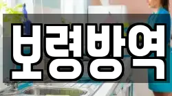 보령방역