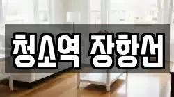 청소역 장항선