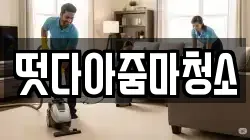 떳다아줌마청소