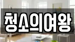 청소의여왕