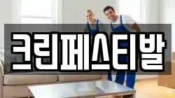 크린페스티발