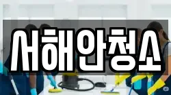 서해안청소