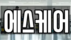 에스케어