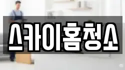 스카이홈청소