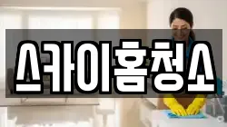스카이홈청소