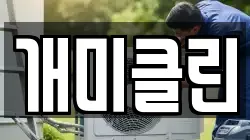 개미클린