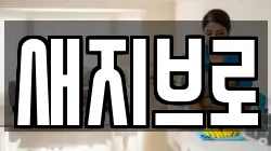 새지브로