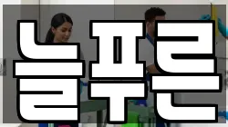 늘푸른