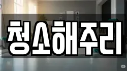 청소해주리