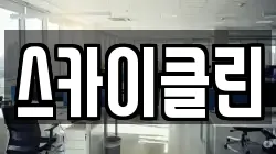 스카이클린