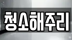청소해주리