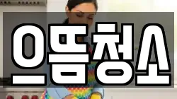 으뜸청소