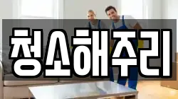 청소해주리
