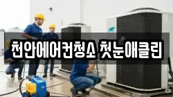 충남 천안시 동남구 신방동 청소,입주청소,사무실청소,에어컨청소,특수청소,상가청소,거주청소,유품정리