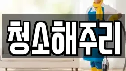 청소해주리