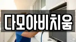 다모아비치움