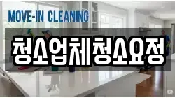 청소업체청소요정