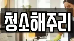 청소해주리