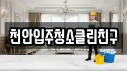 천안입주청소클린친구