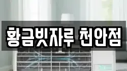 황금빗자루 천안점