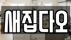 새집다오