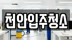 천안입주청소