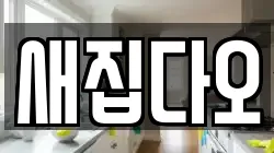 새집다오