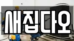새집다오