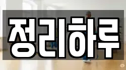 정리하루