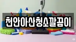 천안아산청소깔끔이