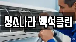 청소나라 백석클린