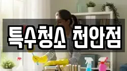 특수청소 천안점