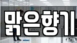 맑은향기