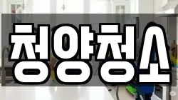 청양청소