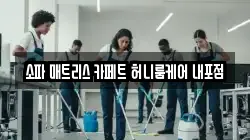 소파 매트리스 카페트 허니룸케어 내포점