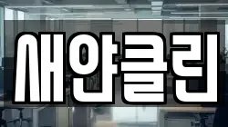 새얀클린