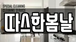 따스한봄날
